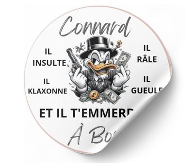 Stickers voiture connard à bord autocollant voiture humour Picsou