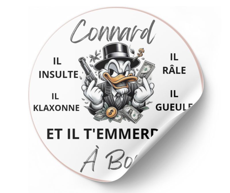 Stickers voiture connard à bord autocollant voiture humour Picsou