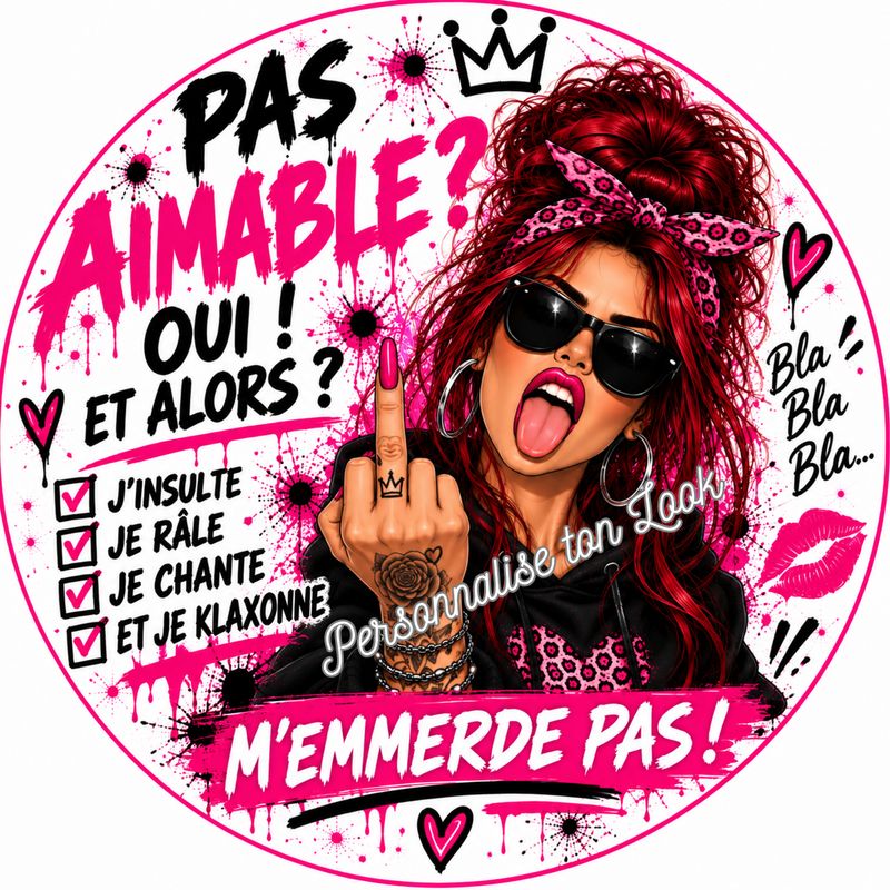 Sticker voiture pas aimable , autocollant voiture pas aimable 