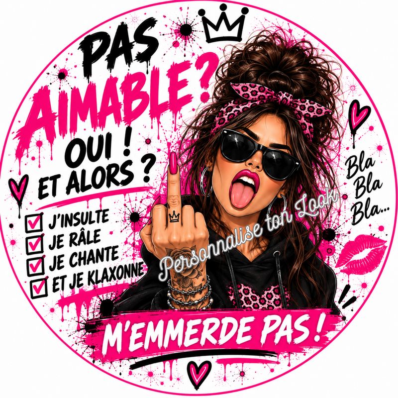 Sticker voiture pas aimable , autocollant voiture pas aimable 