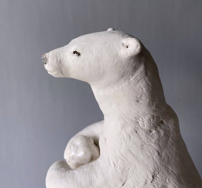 polar bear with snowball polar bear with snowball