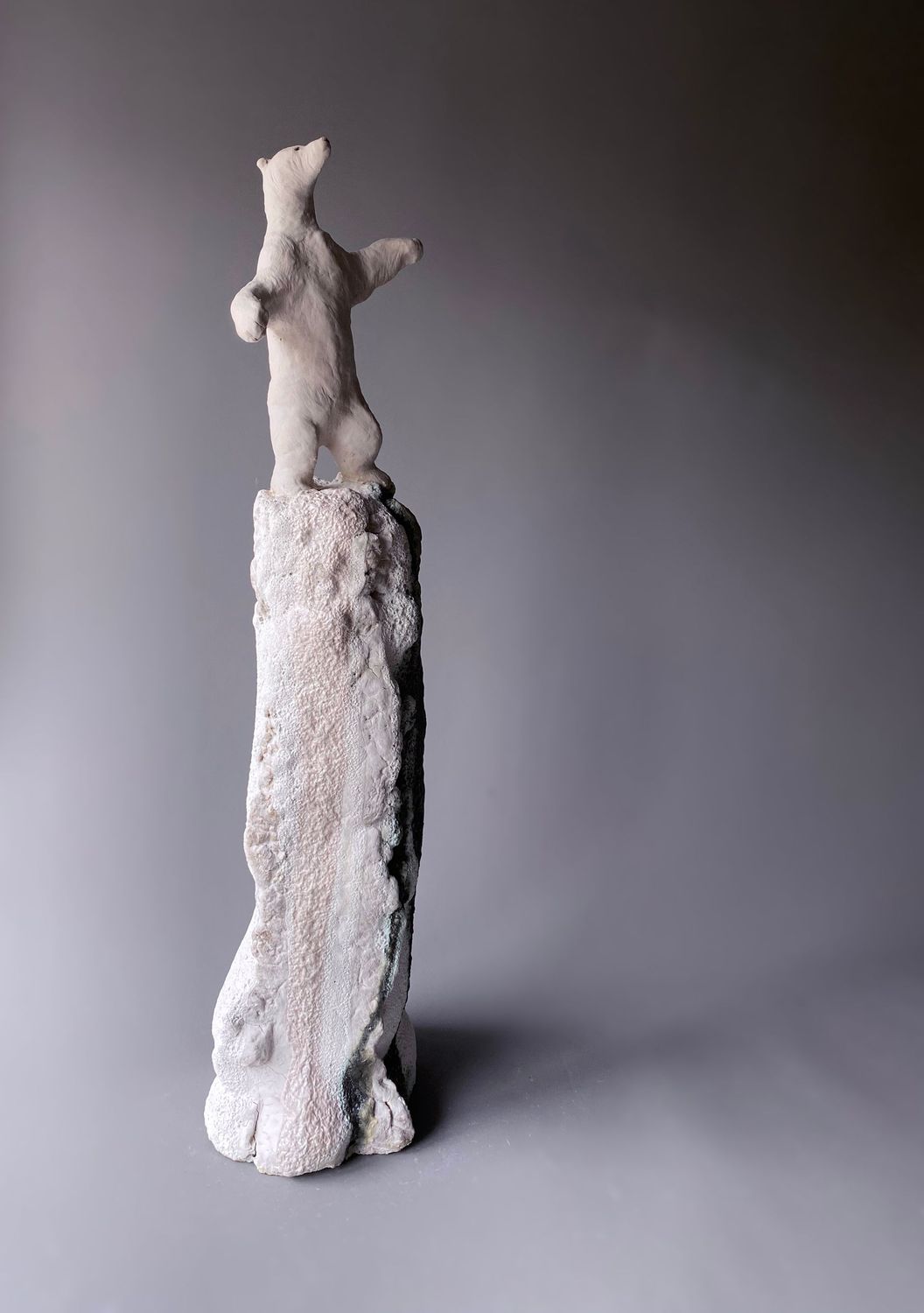 Mountain Climber Polar Bear Mountain Climber Polar Bear