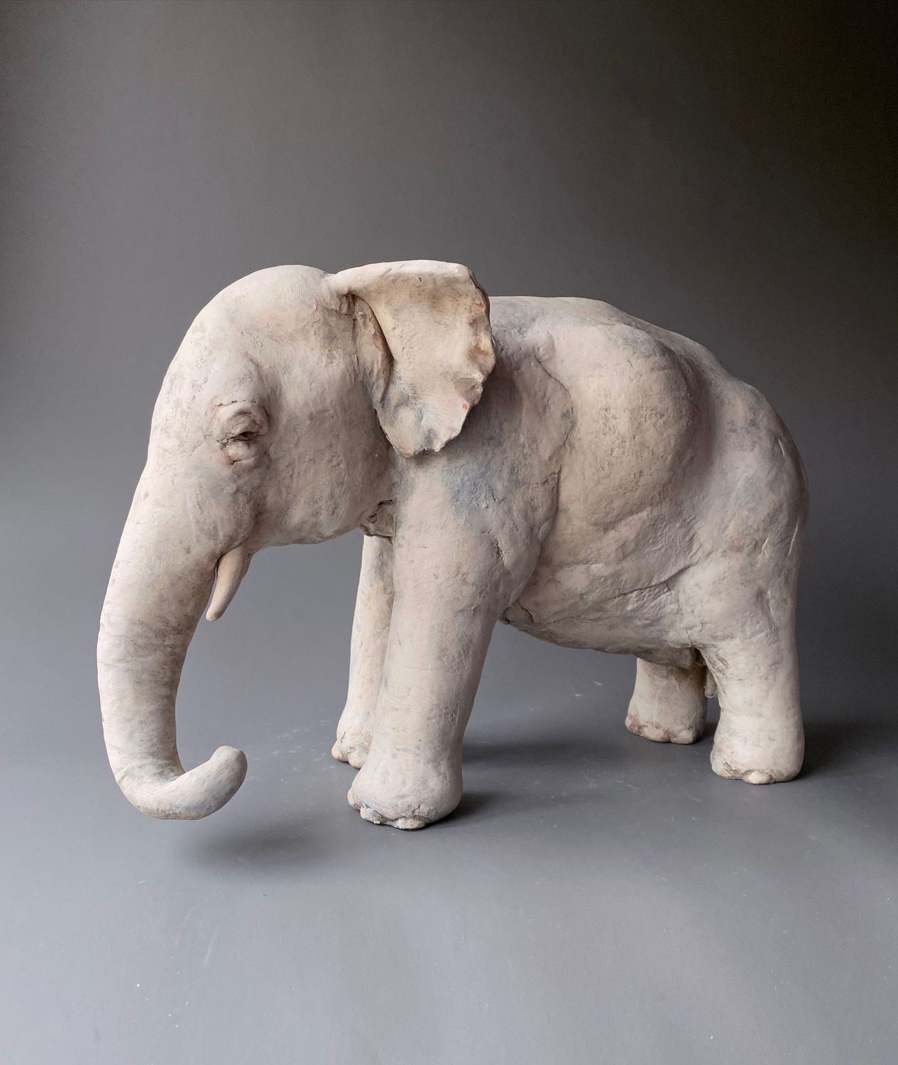 Elephant with Tusks