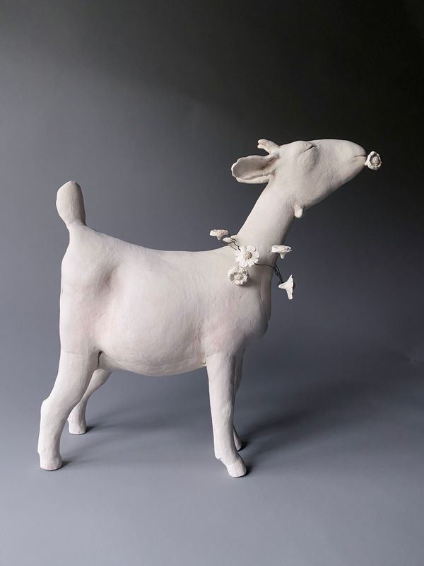 Goat MADE TO ORDER