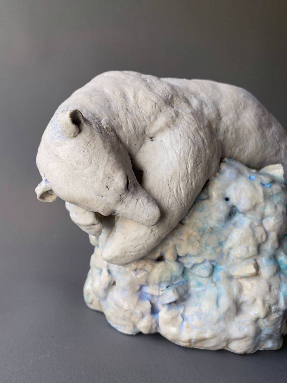 sleeping polar bear