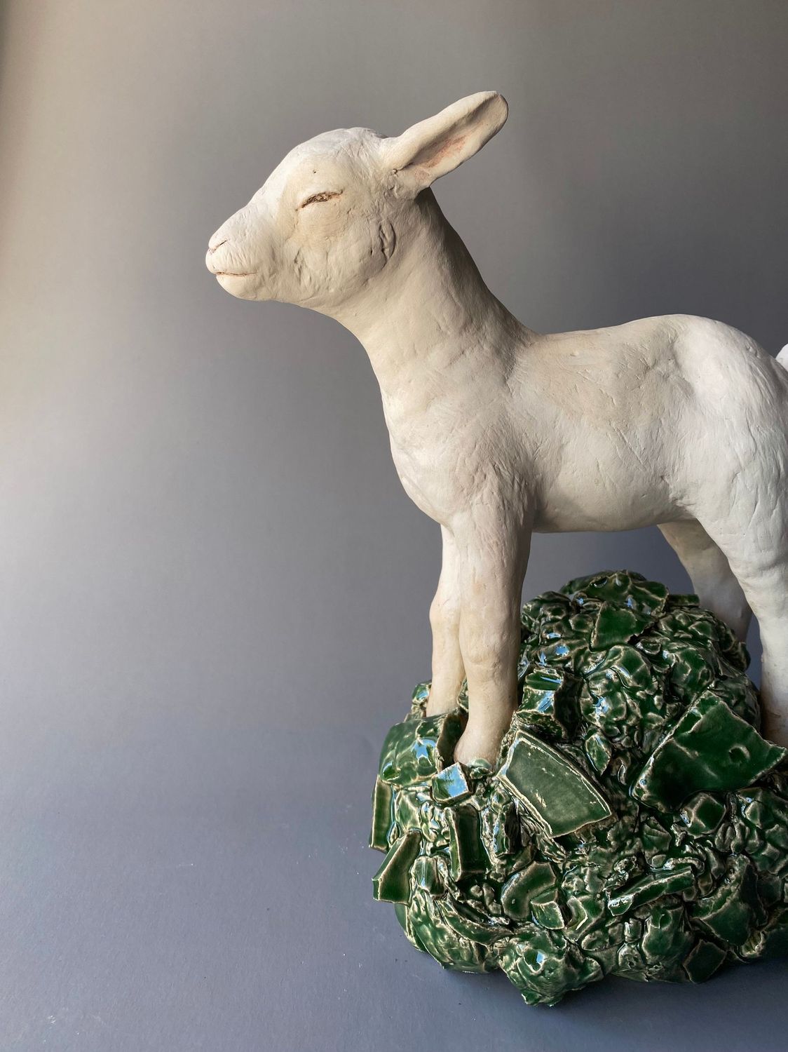 little kid goat