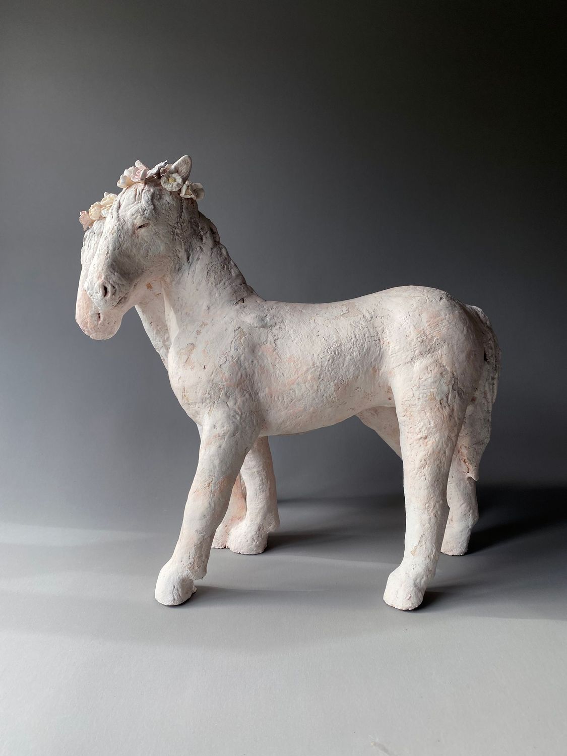 Horsy Horsy