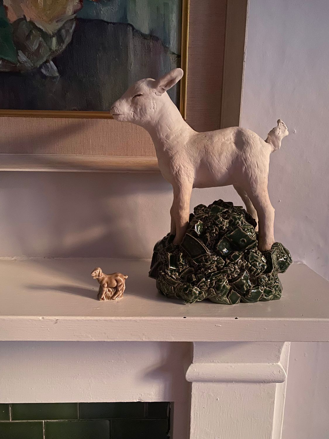 little kid goat little kid goat