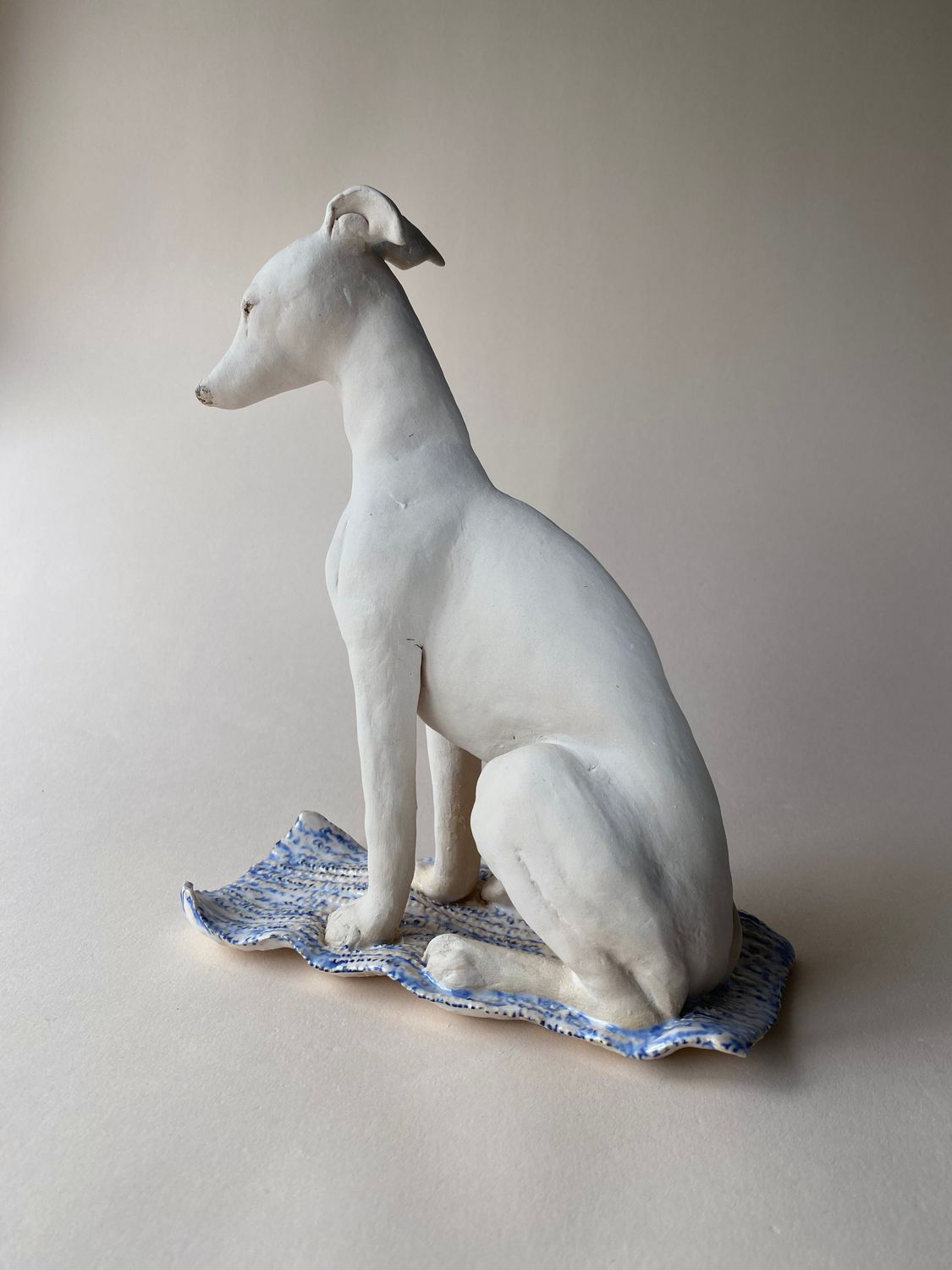 hound on carpet. hound on carpet.