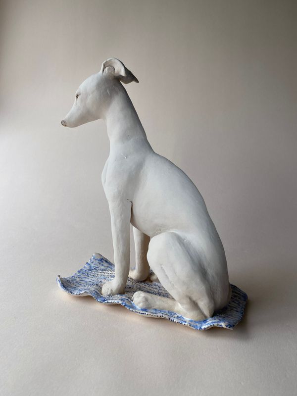 hound on carpet. hound on carpet.