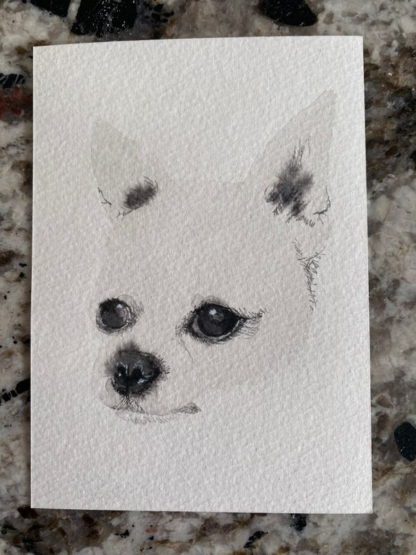 little white dog study 4 little white dog study 4