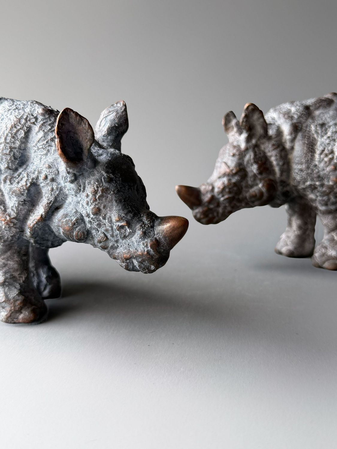 Unicornis. Bronze rhino 1/8 Unicornis. Bronze rhino 1/8