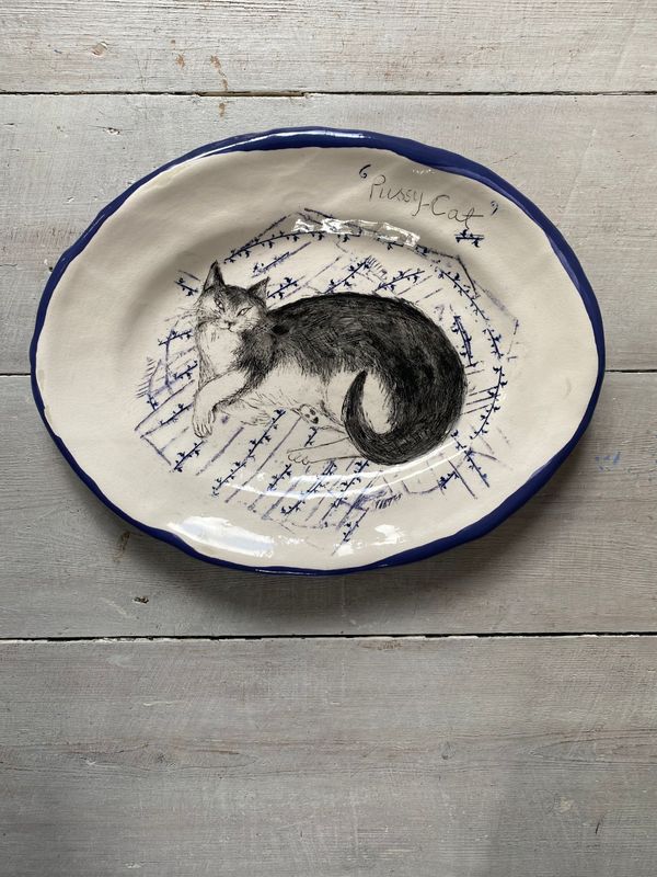 my stray cat on clean washing wall plate