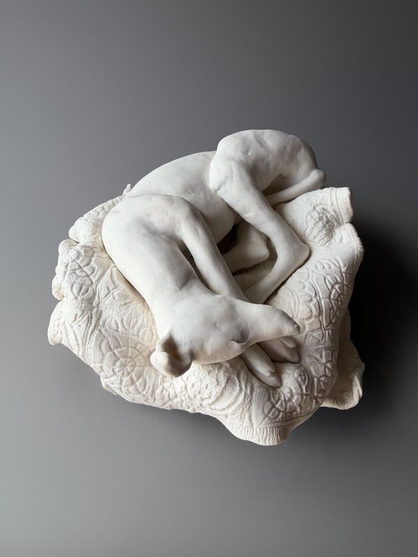 porcelain dreaming hound porcelain dreaming hound