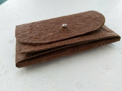 Card holder from coconut biomaterials