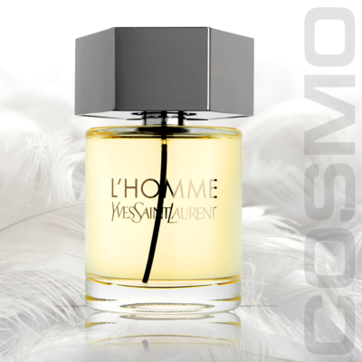 YSL L'homme