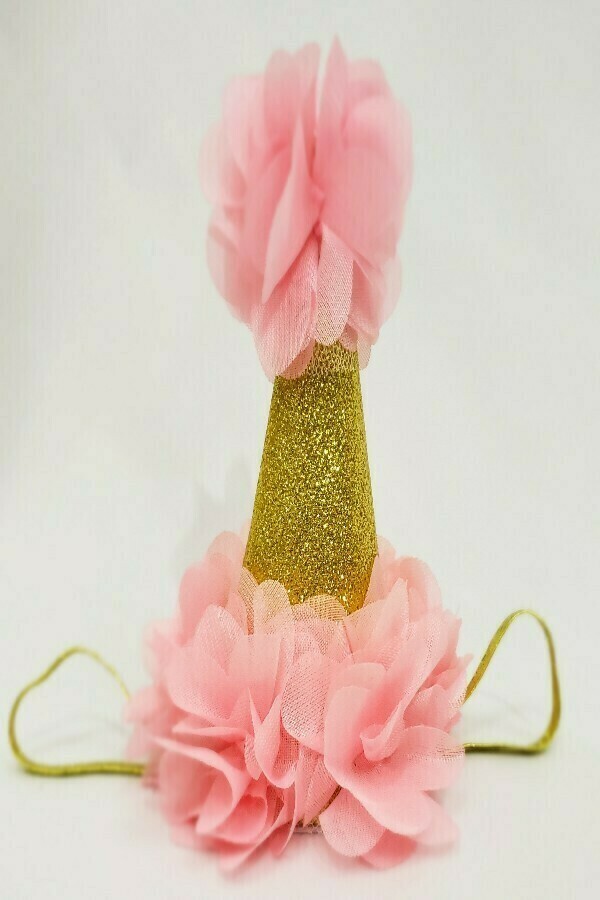 Pink and Gold Party Hat