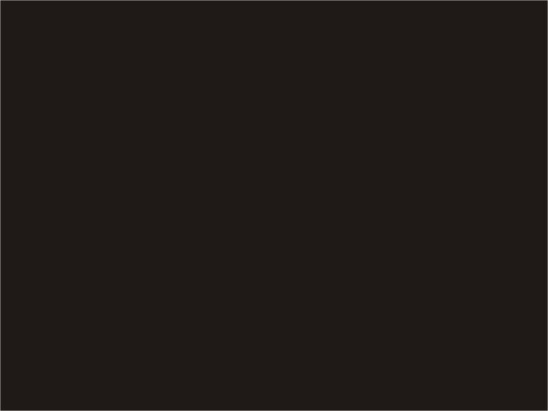 ET596100 - Photo Black 350ml - Art-Nr.: EK3HDR350PK