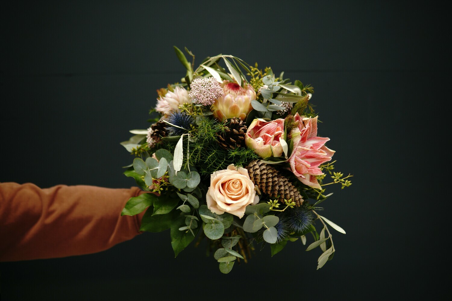 Adventzauber | Apricot