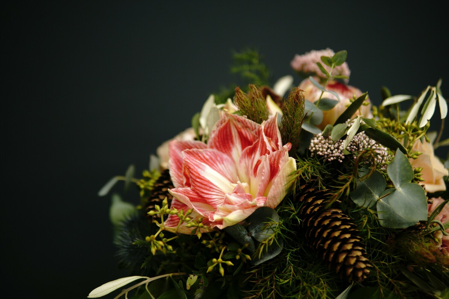 Adventzauber | Apricot
