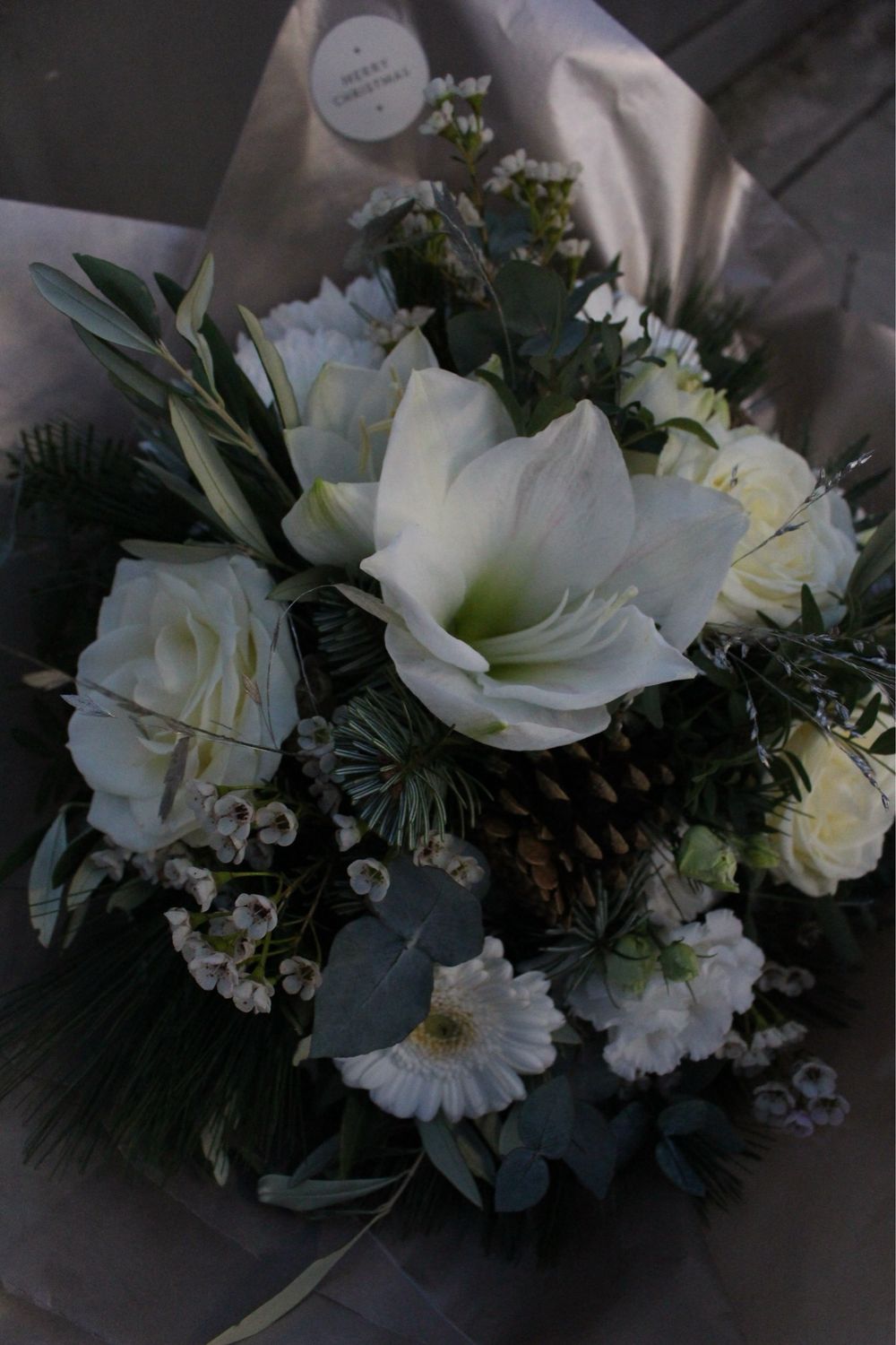 White Wonder | 2 Größen