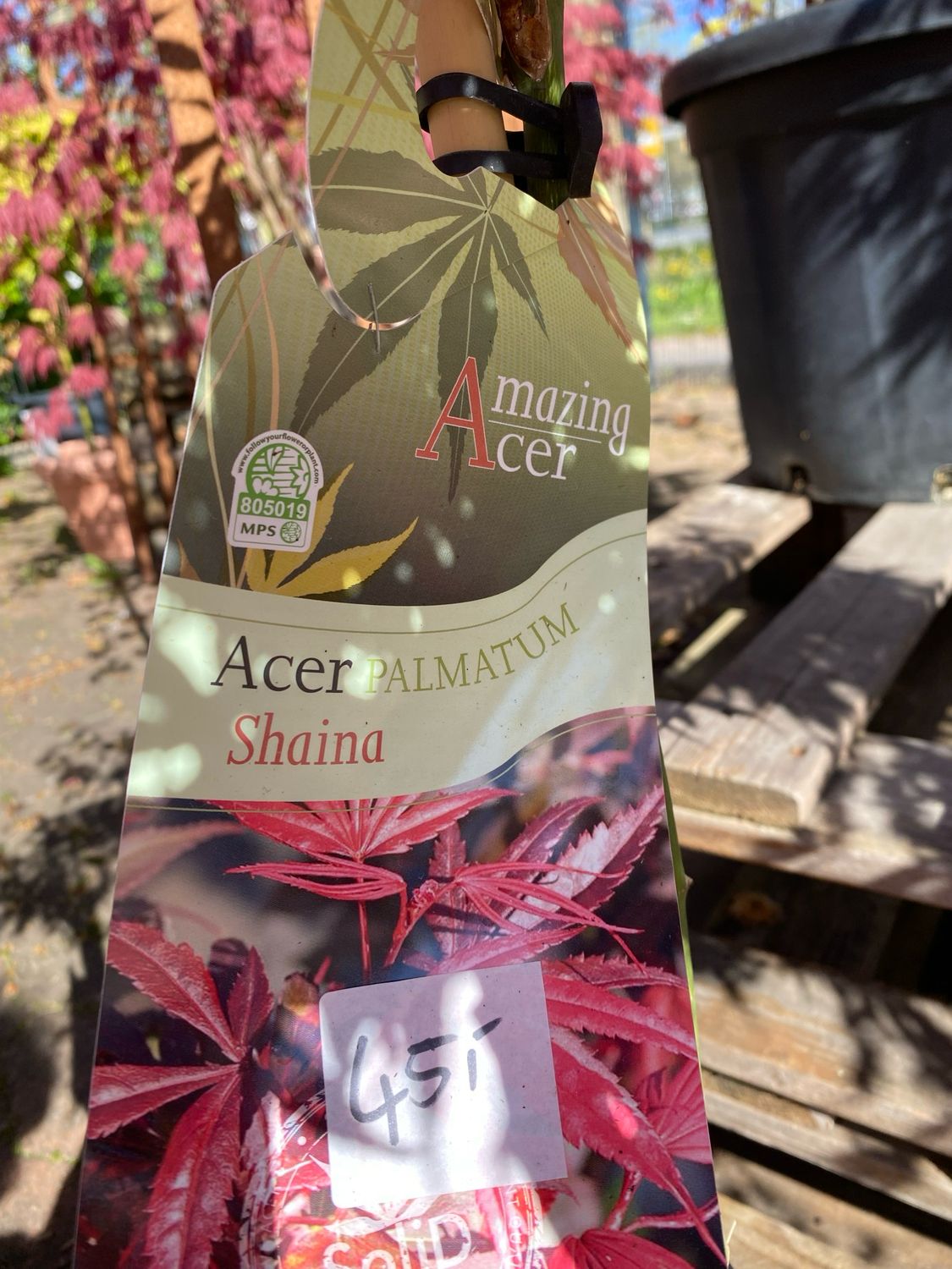 Acer, diverse