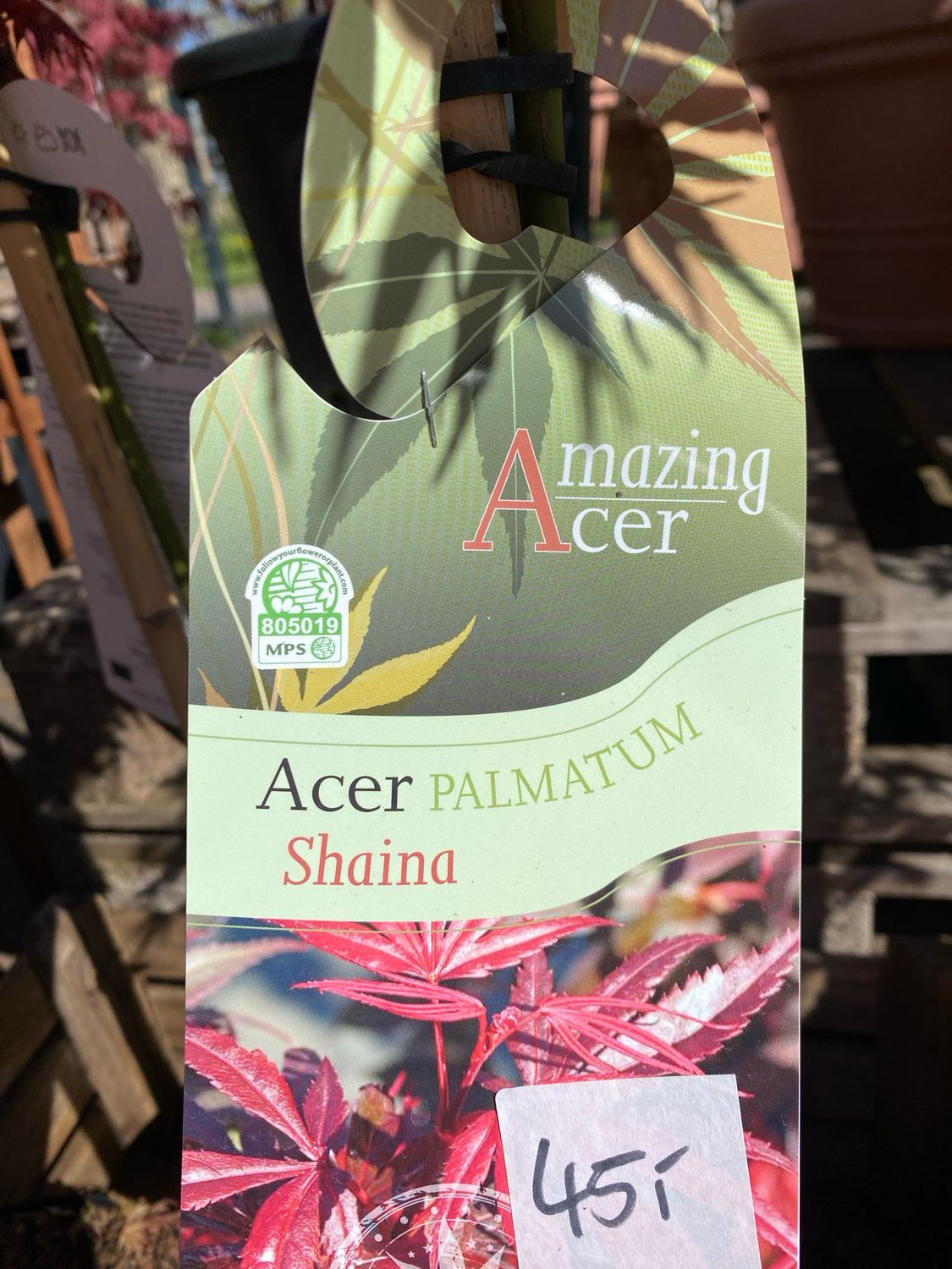 Acer, diverse