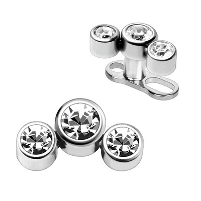 Dermal Anchors
