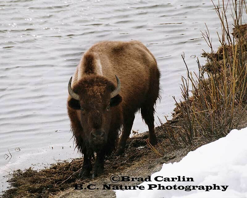 At the Water&#39;s Edge