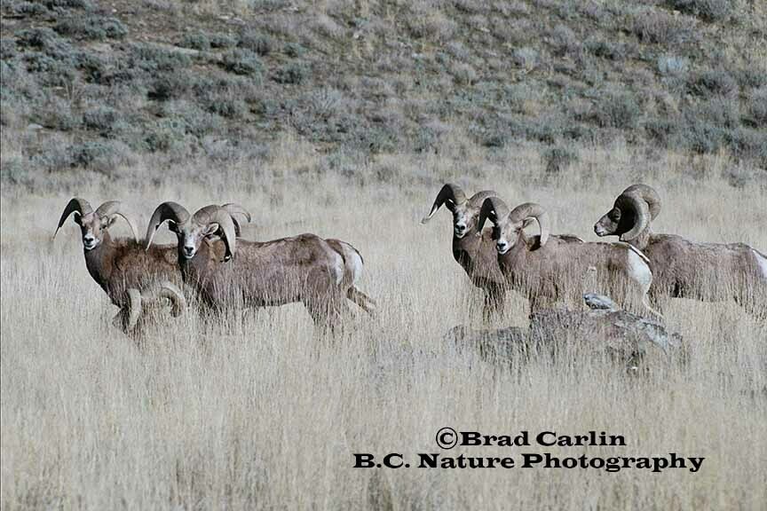 Hanging with the Boys