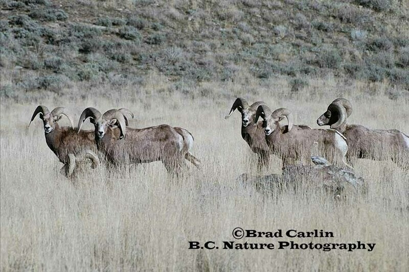 Hanging with the Boys