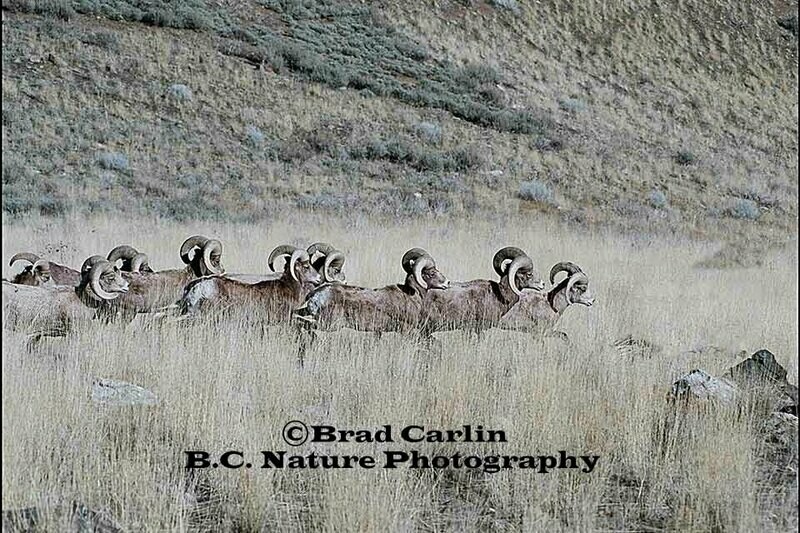 Running With the Boys