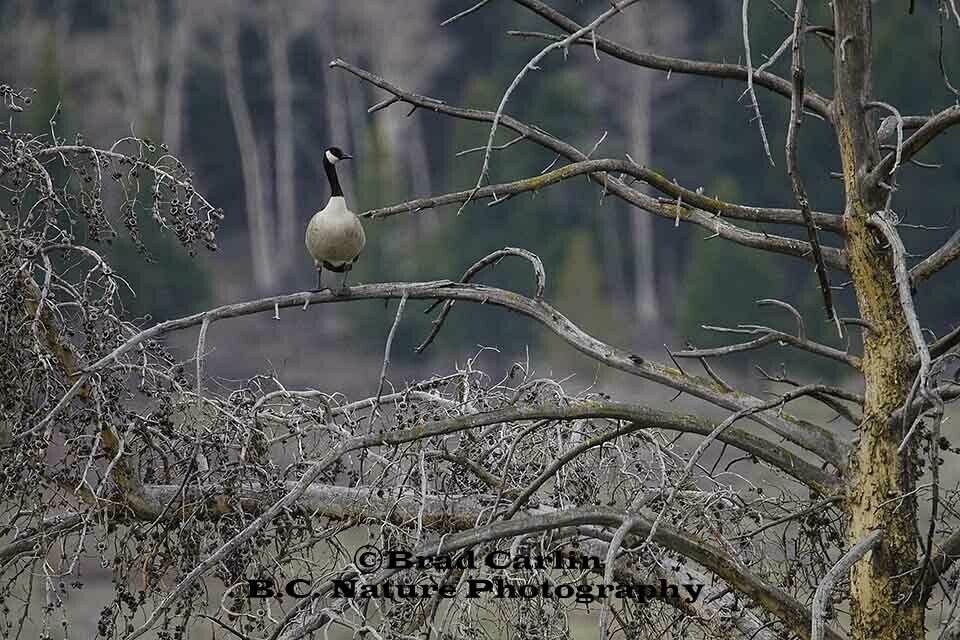 20 F Unsure of Identity