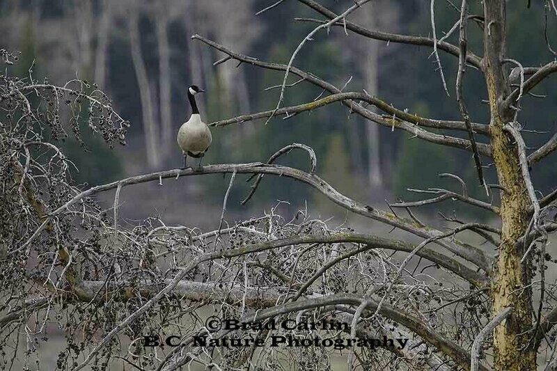 20 F Unsure of Identity