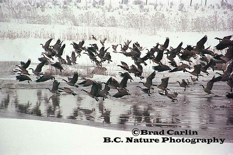 15 F Cold Weather Travelers