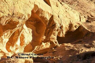Red Rock &amp; Desert