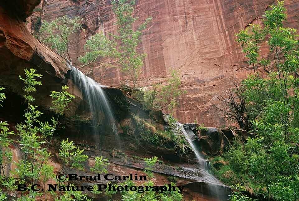 Colors of Zion2