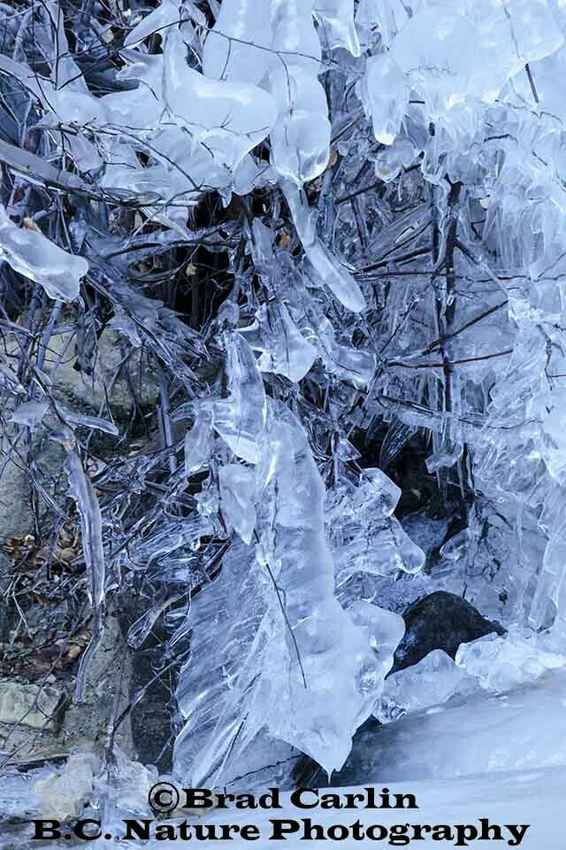 Ice 20191