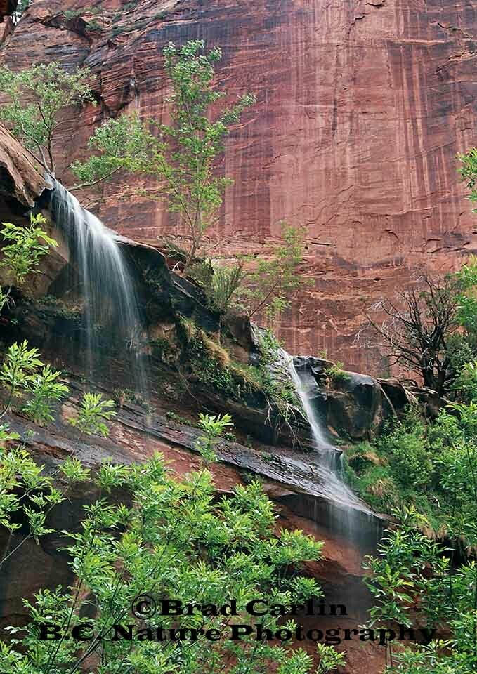 Colors of Zion
