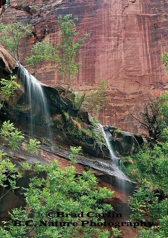 Colors of Zion