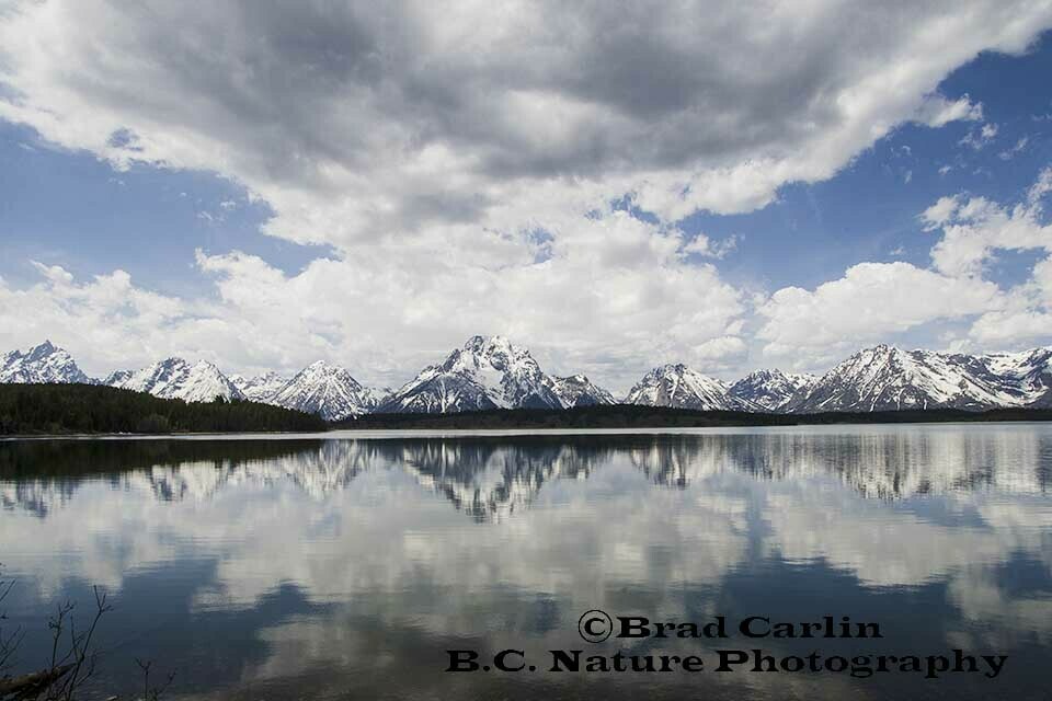 Teton Reflections