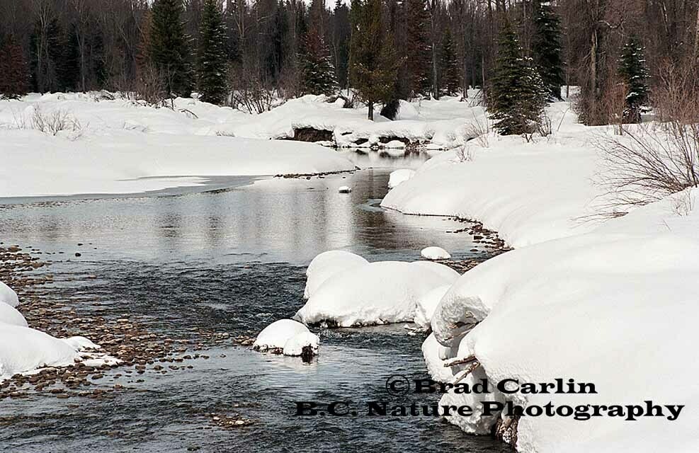 Snowy River 2