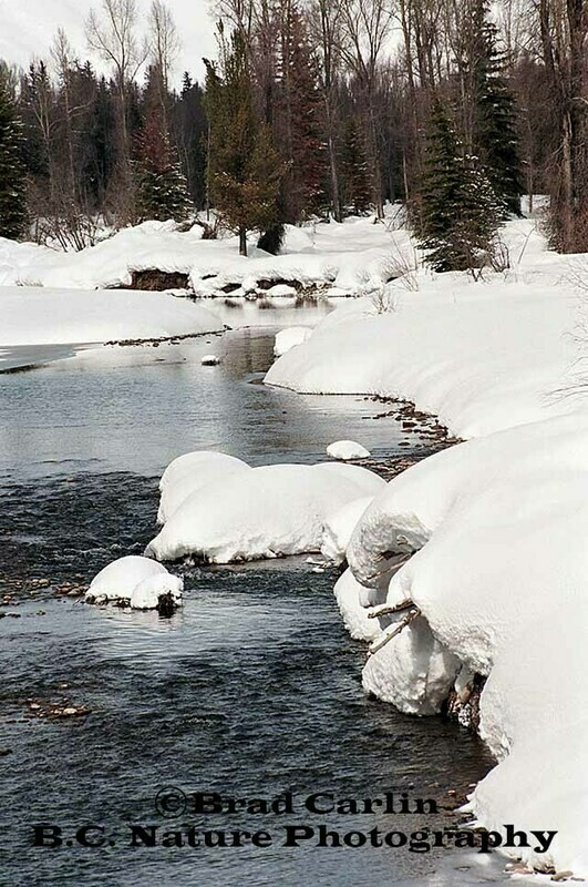 Snowy River