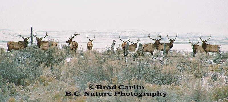 Safe Behind the Lines