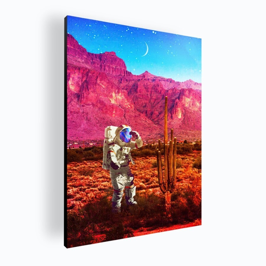 Astronaut Desert