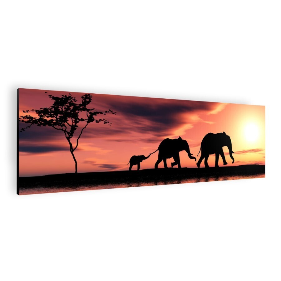 Elephant in sunset