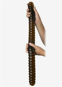 World&#39;s Largest Gummy Worm - Cola