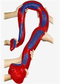 Giant Party Python