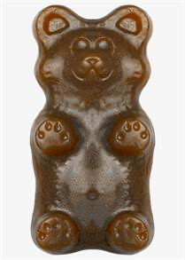 Giant Grizzly Bear