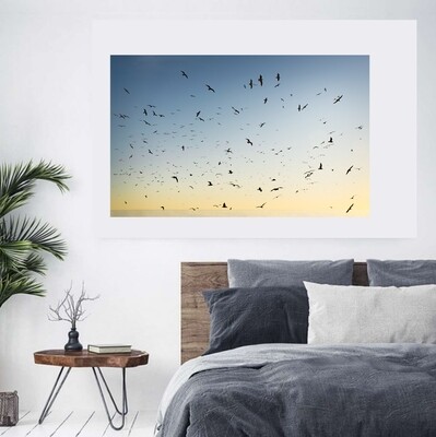 Birds on the Beach